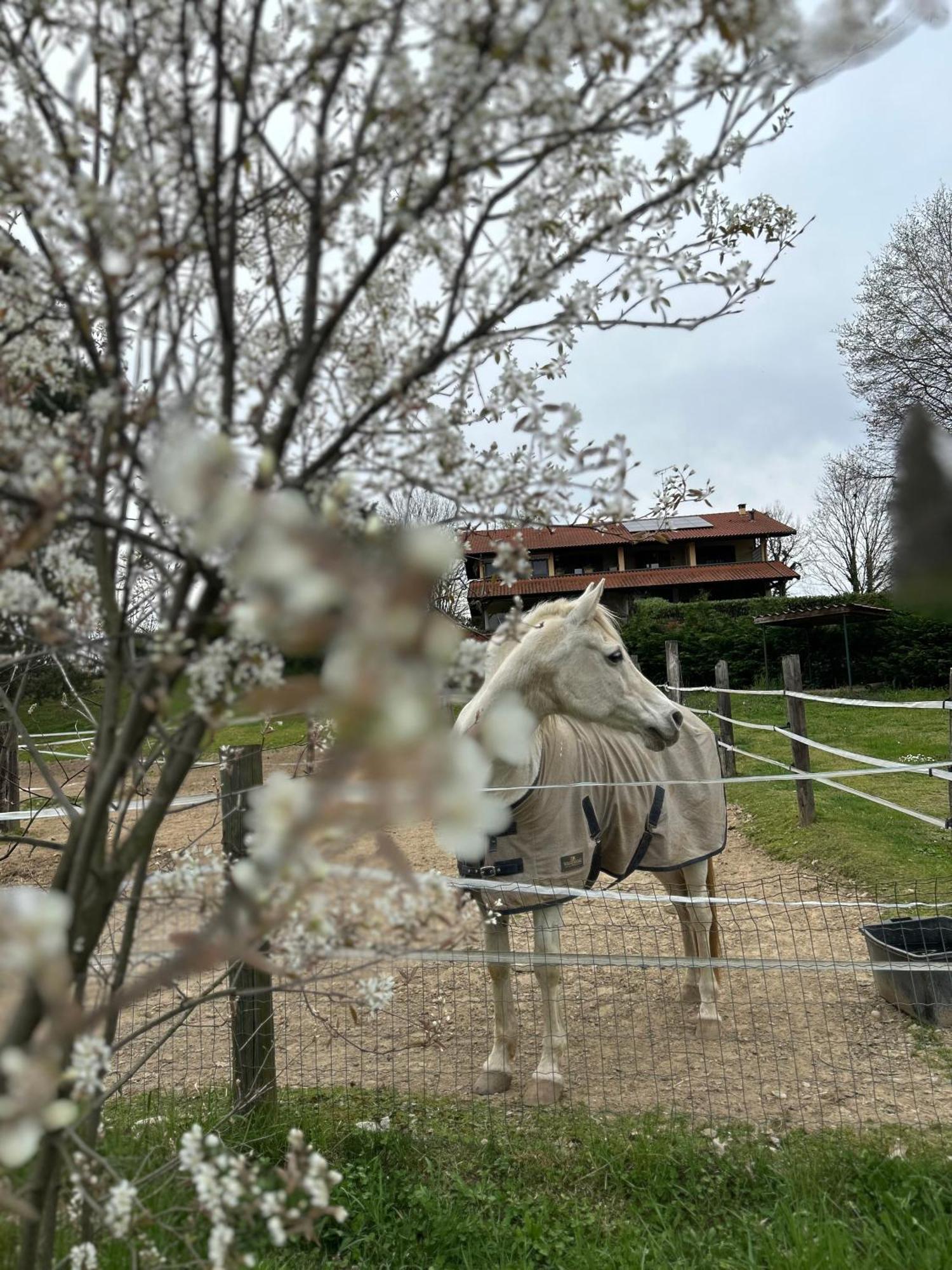 Bilocale In The Farm- Malpensa-Lago Maggiore Varallo Pombia Luaran gambar